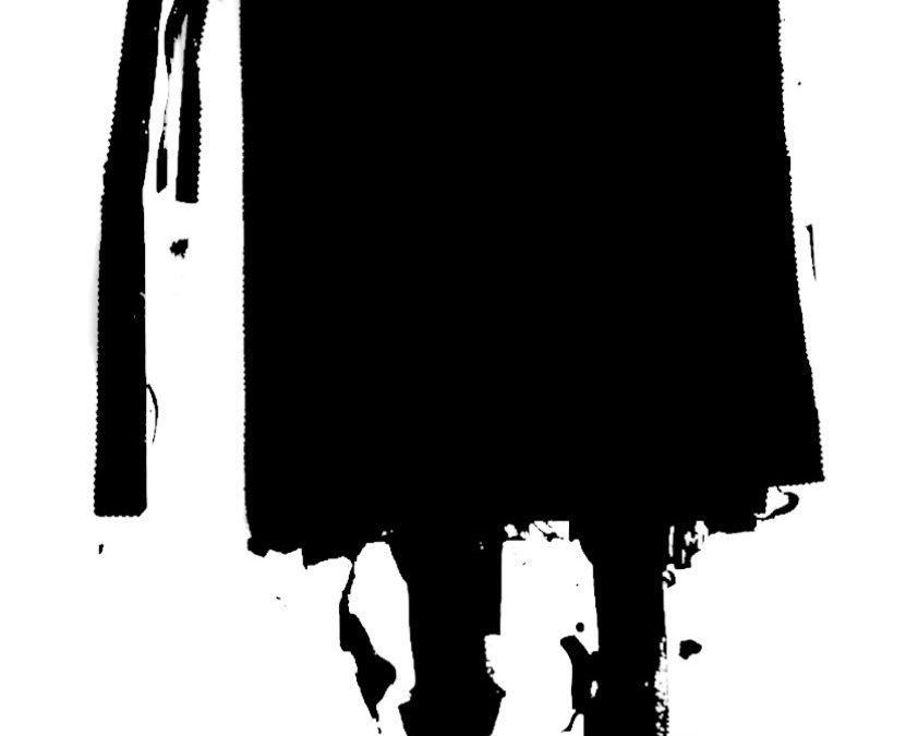 La cultura despojada / Frederic Amat